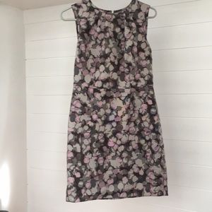Ann Taylor Loft business dress